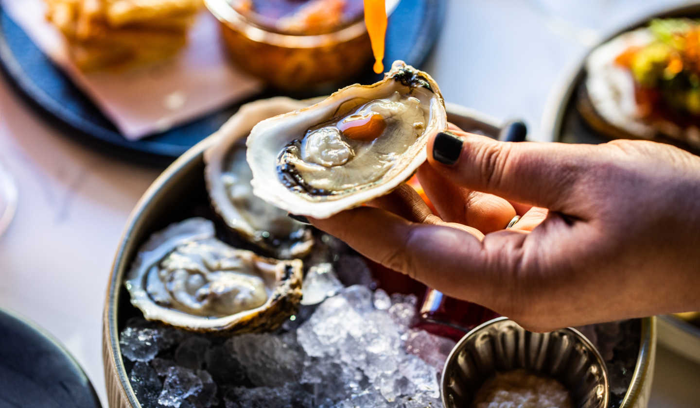 1/2 Off Oysters at Happy Hour Plank Provisions